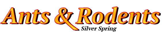 Silver Spring Ant Exterminator & Rodent Control Company Logo